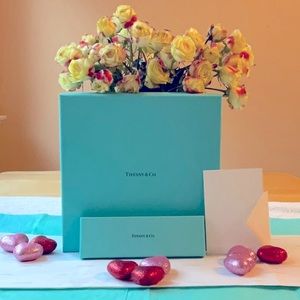 💍 TIFFANY & CO. BOX BUNDLE 💍